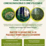 Valli del Noce - Erbe spontanee