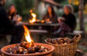 🍂🍁 TÖRGGELEN A RENON 🌰
